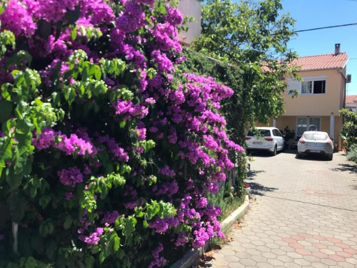 דירות זאדאר Lipo Je מראה חיצוני תמונה